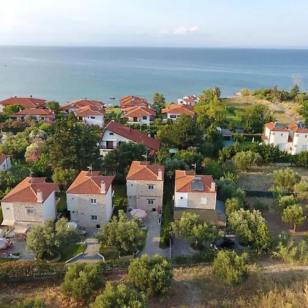 Luxury פוליכרונו