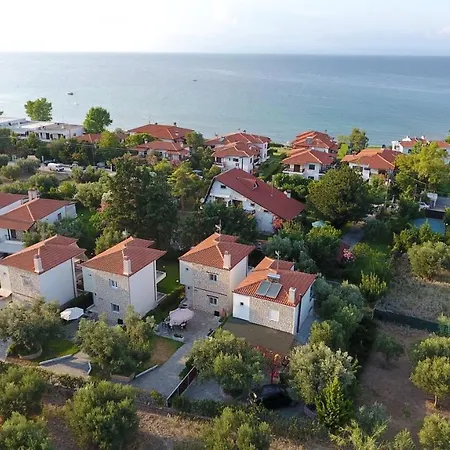 Luxury פוליכרונו